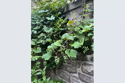 55 Clubhouse, Tuxedo Park, NY 10987 - Photo 32