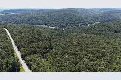 9568 State Route 97, Callicoon, NY 12723 - Photo 50
