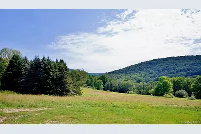 129 Nelson Road, Fremont Center, NY 12736 - Photo 24