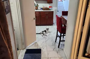 568 Drew St, Brooklyn, NY 11208 - Photo 8