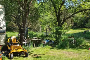 834 Cooley Rd, Parksville, NY 12768 - Photo 14