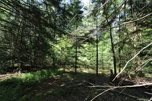 834 Cooley Rd, Parksville, NY 12768 - Photo 18