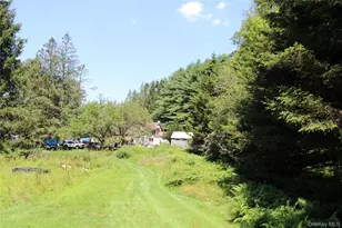 834 Cooley Rd, Parksville, NY 12768 - Photo 16