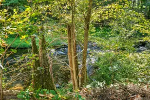 579 State Rte 55, Napanoch, NY 12458 - Photo 34