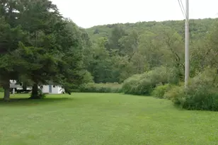 14 Fulton Rd, Roscoe, NY 12776 - Photo 36