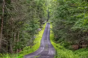 128 Newcut Rd, Woodstock, NY 12498 - Photo 48