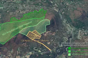 128 Newcut Rd, Woodstock, NY 12498 - Photo 50