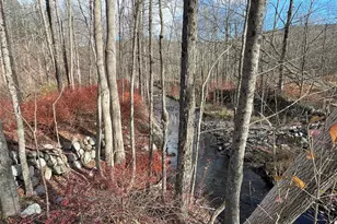 104 Phillipsport Rd, Wurtsboro, NY 12790 - Photo 36