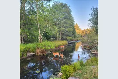 21 E Sullivan Place, Smallwood, NY 12778 - Photo 24