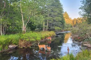 21 E Sullivan Pl, Smallwood, NY 12778 - Photo 24