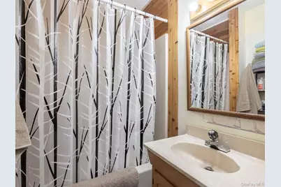 98 S Lincoln Drive, Cairo, NY 12413 - Photo 16