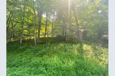 South Road, Wurtsboro, NY 12790 - Photo 1