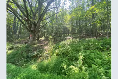 South Road, Wurtsboro, NY 12790 - Photo 4