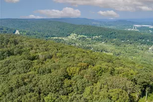 291 Woodmont Rd, Hopewell Junction, NY 12533 - Photo 48