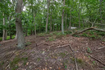 281 Kohr Road, Kings Park, NY 11754 - Photo 34