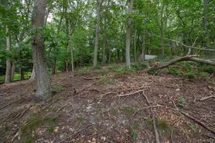 281 Kohr Rd, Kings Park, NY 11754 - Photo 34