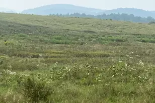 1820 Co Rte 7, Ancram, NY 12502 - Photo 8