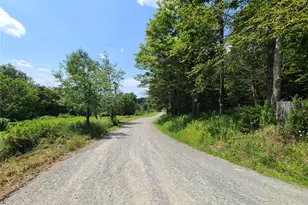 299-301 Stump Pond Rd, Livingston Manor, NY 12758 - Photo 44