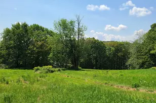 299-301 Stump Pond Rd, Livingston Manor, NY 12758 - Photo 46