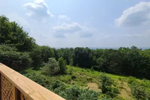 203 Skyline Dr, Woodbourne, NY 12788 - Photo 32