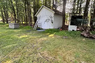 98 Buff Rd, Cochecton Center, NY 12726 - Photo 10