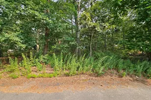 51 Shore Rd, Hampton Bays, NY 11946 - Photo 14