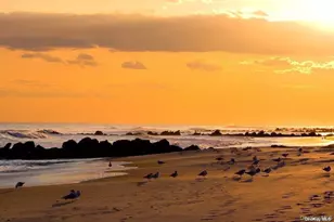 340 E Pine St, Long Beach, NY 11561 - Photo 28