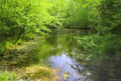 3751 State Route 52, Pine Bush, NY 12566 - Photo 42