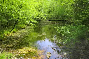 3751 State Route 52, Pine Bush, NY 12566 - Photo 42