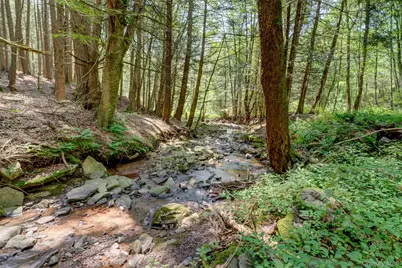 145 Likel Road, Jeffersonville, NY 12748 - Photo 42