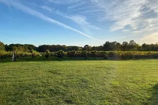 35950 Main Rd, Cutchogue, NY 11935 - Photo 36