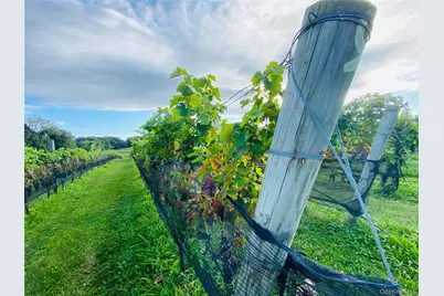 35950 Main Road, Cutchogue, NY 11935 - Photo 38