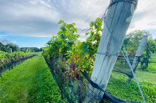 35950 Main Rd, Cutchogue, NY 11935 - Photo 38