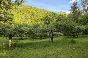 201 Basket Brook Rd, Long Eddy, NY 12760 - Photo 36