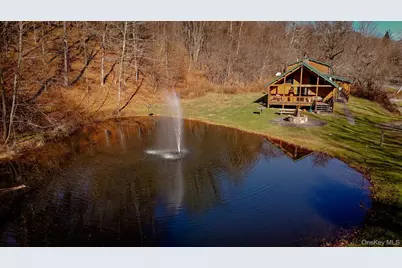 201 Basket Brook Rd, Long Eddy, NY 12760 - Photo 2