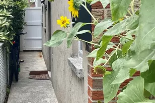 2525 Hone Ave, Bronx, NY 10469 - Photo 32