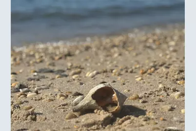 3700 Minnehaha Boulevard, Southold, NY 11971 - Photo 40