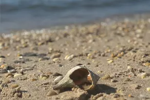 3700 Minnehaha Blvd, Southold, NY 11971 - Photo 40