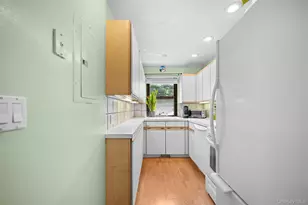 29 W Mill Dr, Great Neck, NY 11021 - Photo 18