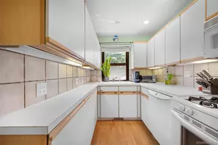 29 W Mill Dr, Great Neck, NY 11021 - Photo 16