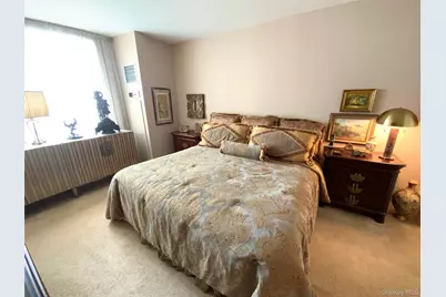 27110 Grand Central Parkway Parkway #15Z, Floral Park, NY 11005 - Photo 14