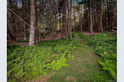 72 Black Lake Road, Bethel, NY 12786 - Photo 8