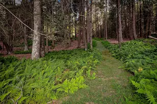 72 Black Lake Rd, Bethel, NY 12786 - Photo 8