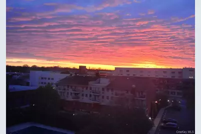 135 Post Avenue #5O, Westbury, NY 11590 - Photo 8