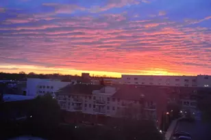 135 Post Ave, Westbury, NY 11590 - Photo 8