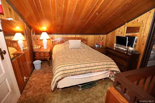 66 Raspberry Park Rd, Long Eddy, NY 12760 - Photo 28