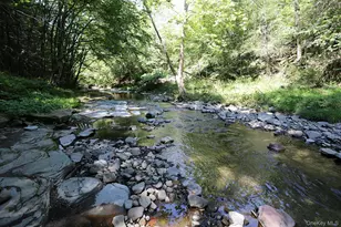 178 W Simmon Rd, Callicoon, NY 12723 - Photo 6