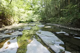 178 W Simmon Rd, Callicoon, NY 12723 - Photo 34