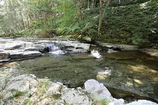 178 W Simmon Rd, Callicoon, NY 12723 - Photo 36