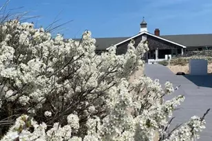 2178 Montauk, Amagansett, NY 11930 - Photo 6